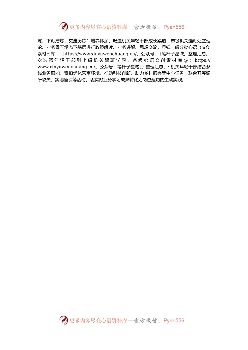 经验交流：“搭台架梯” 推动机关年轻干部能力“大提升”.docx_第2页