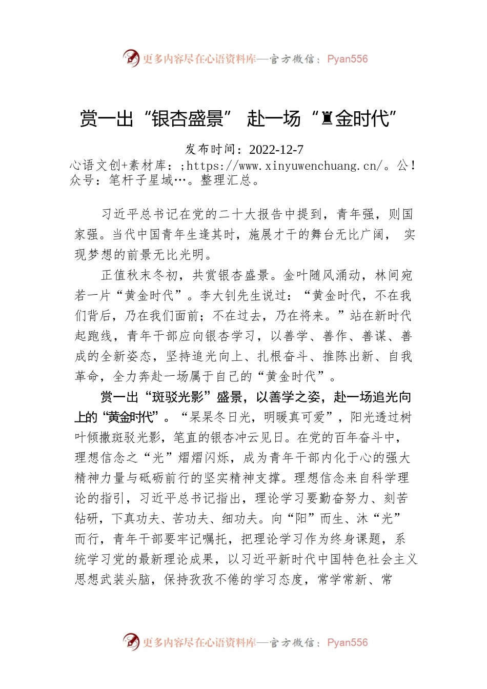 赏一出“银杏盛景” 赴一场“黄金时代”.docx_第1页