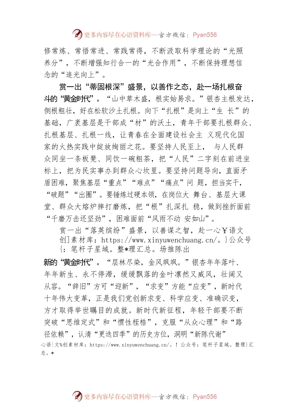 赏一出“银杏盛景” 赴一场“黄金时代”.docx_第2页