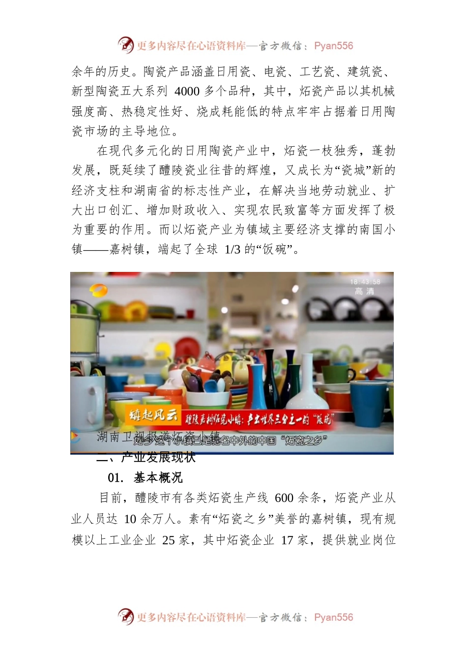 醴陵市嘉树镇日用炻瓷产业调研报告.docx_第2页
