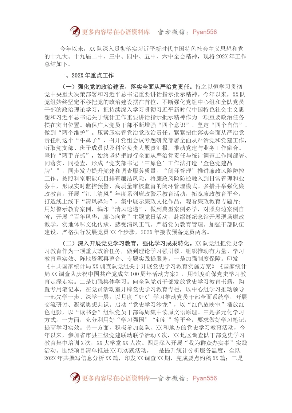 调查队202X年工作总结.docx_第1页
