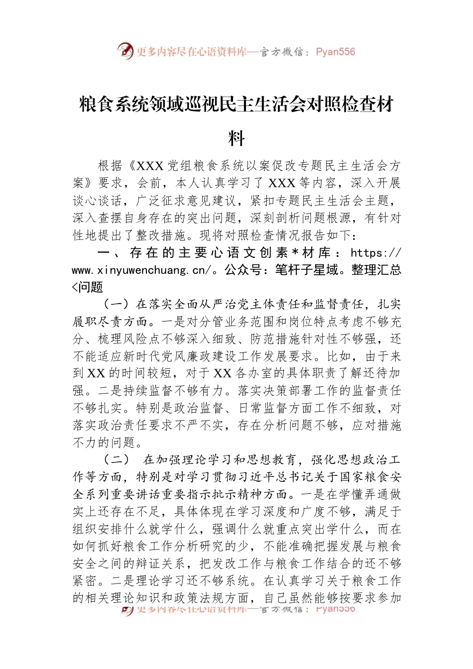 粮食系统领域巡视民主生活会对照检查材料.docx_第1页