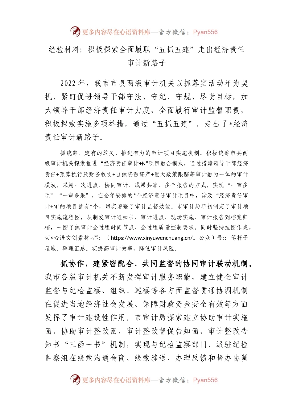 经验材料：积极探索全面履职“五抓五建”走出经济责任审计新路子.docx_第1页