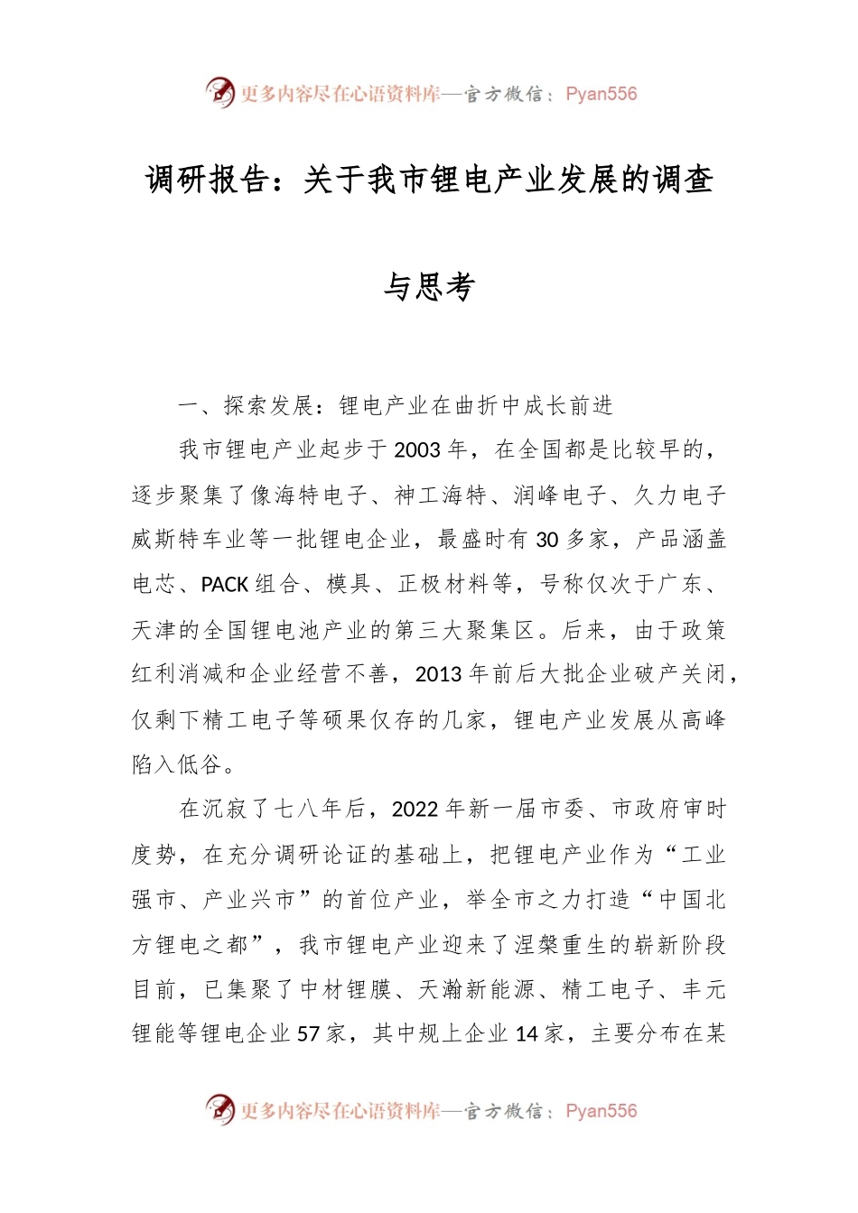 调研报告：关于我市锂电产业发展的调查与思考.docx_第1页
