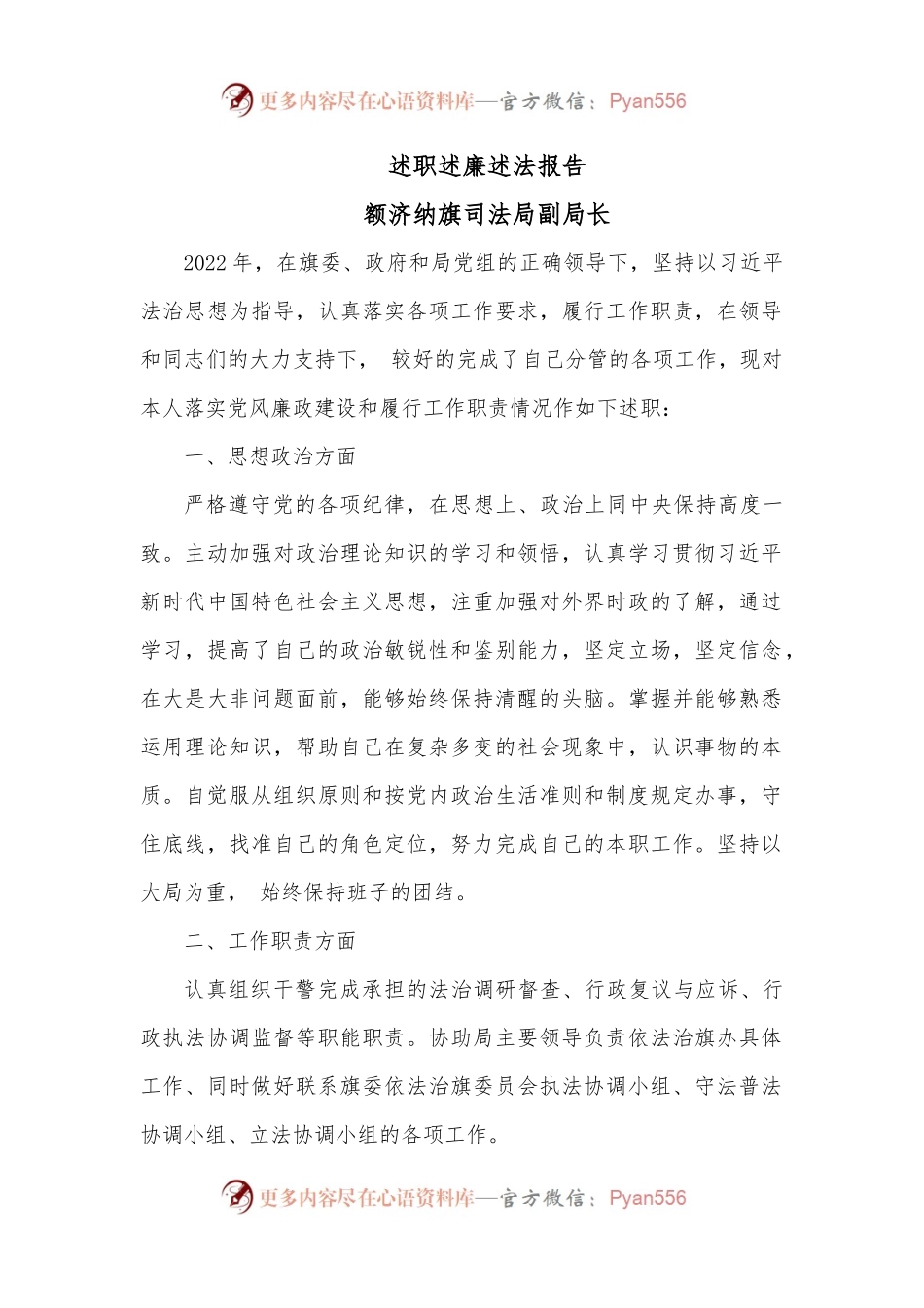 述职述廉述法报告（副局长）.docx_第1页
