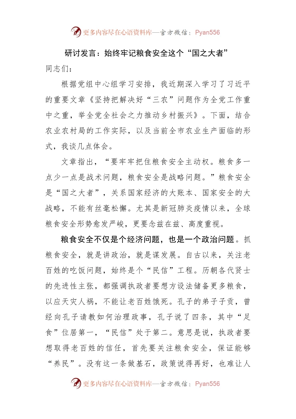 粮食安全研讨发言 .docx_第1页