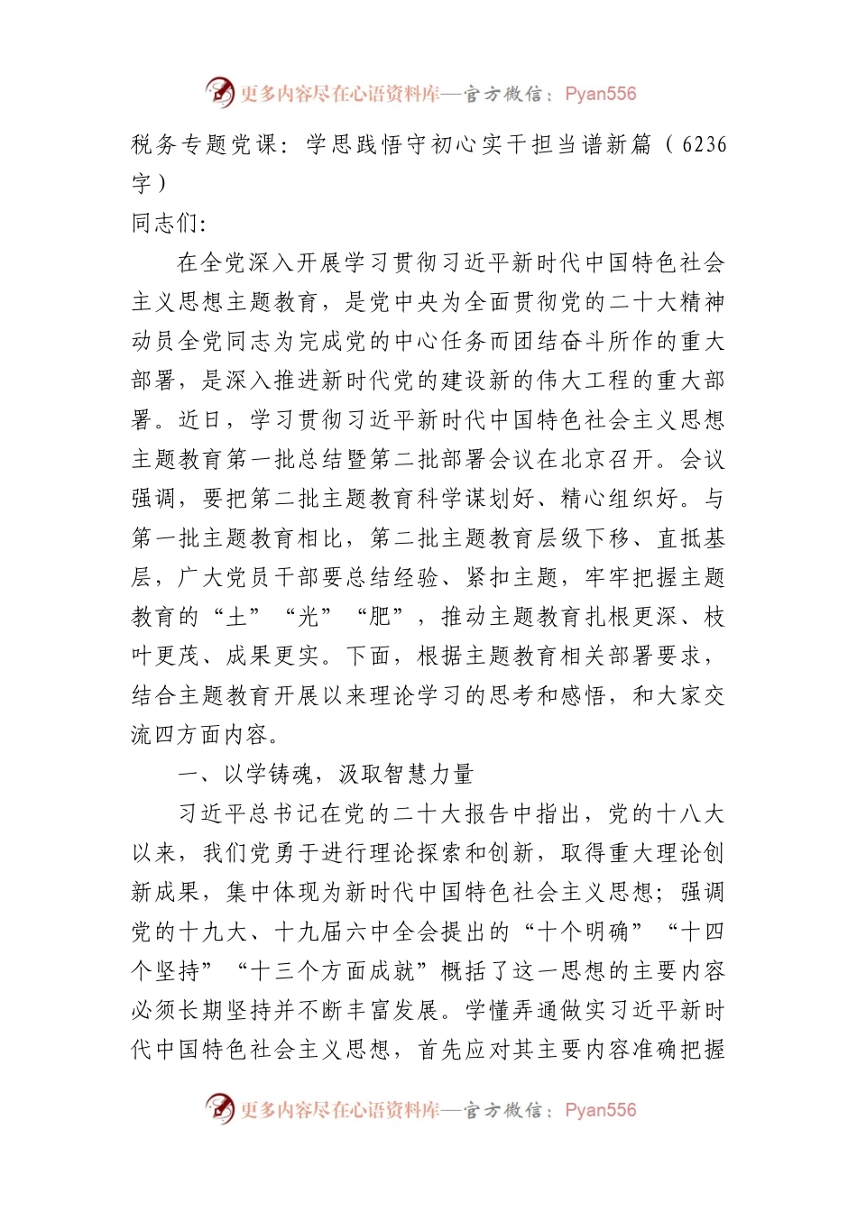 税务专题党课：学思践悟守初心实干担当谱新篇.docx_第1页