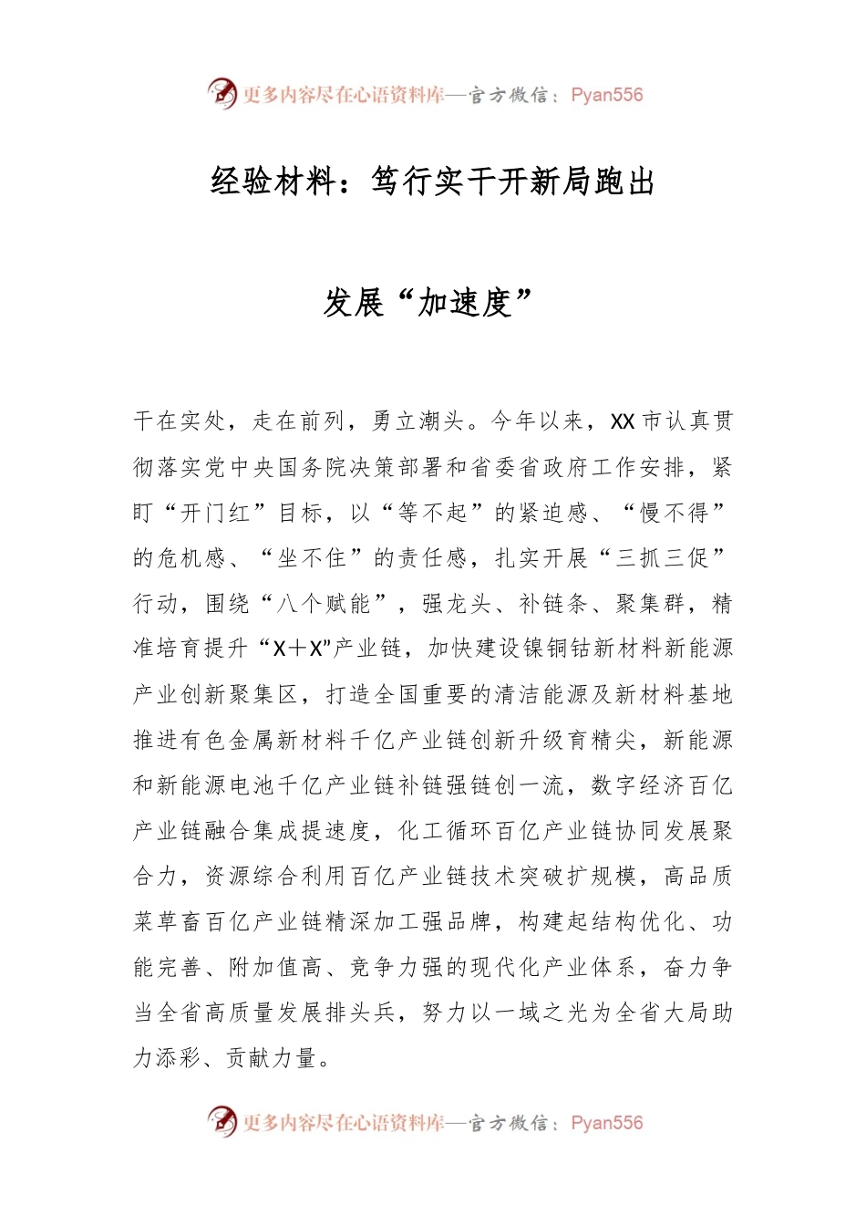 经验材料：笃行实干开新局跑出发展“加速度”.docx_第1页