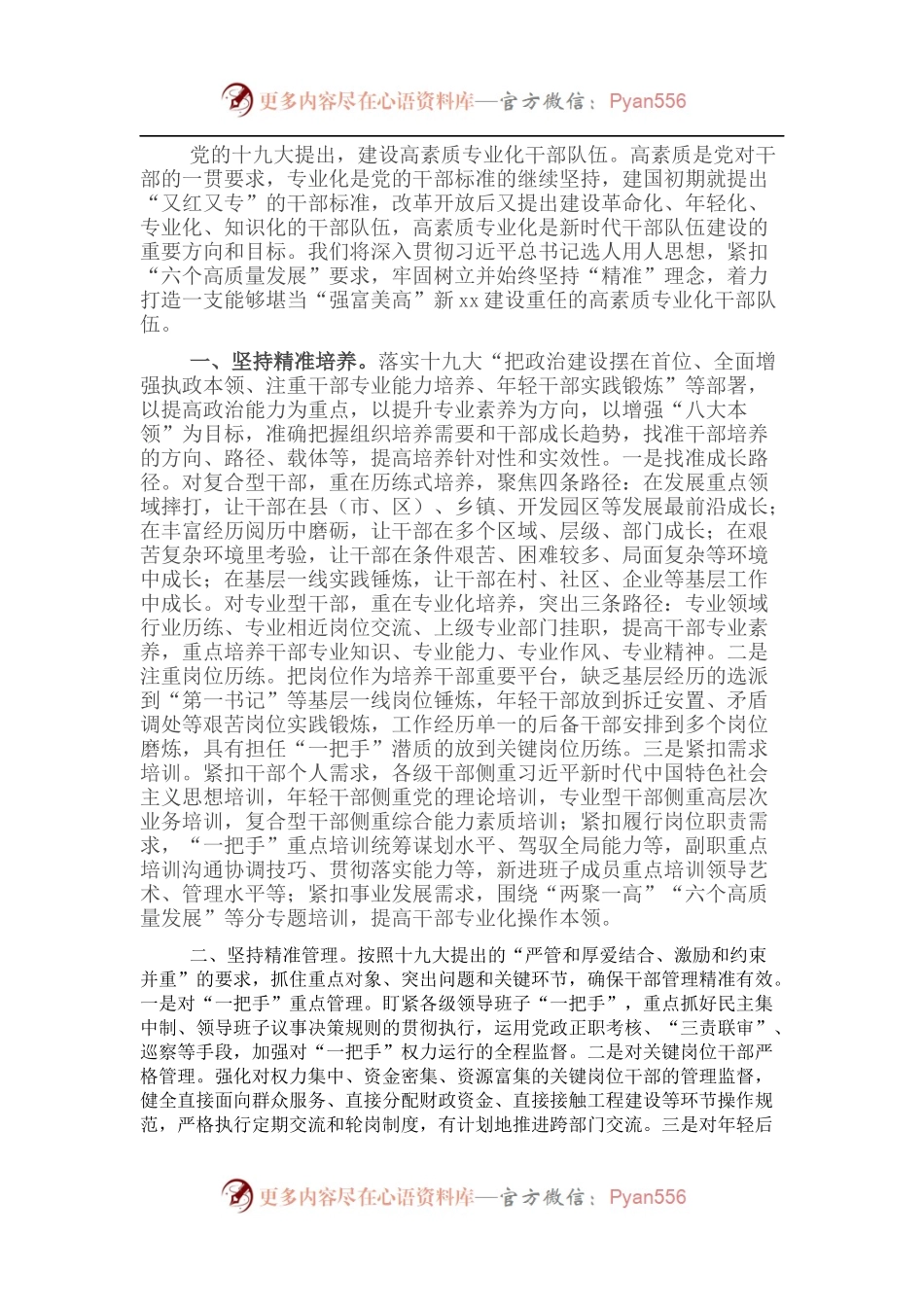 研讨发言：用精准理念建设高素质专业化干部队伍.docx_第1页