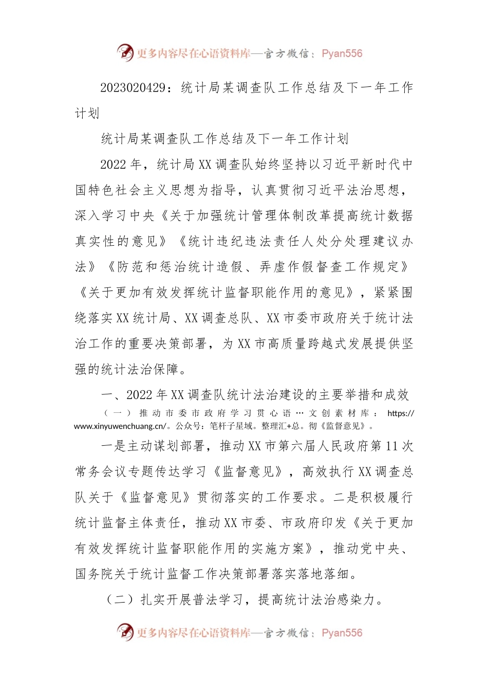 统计局某调查队工作总结及下一年工作计划.docx_第1页