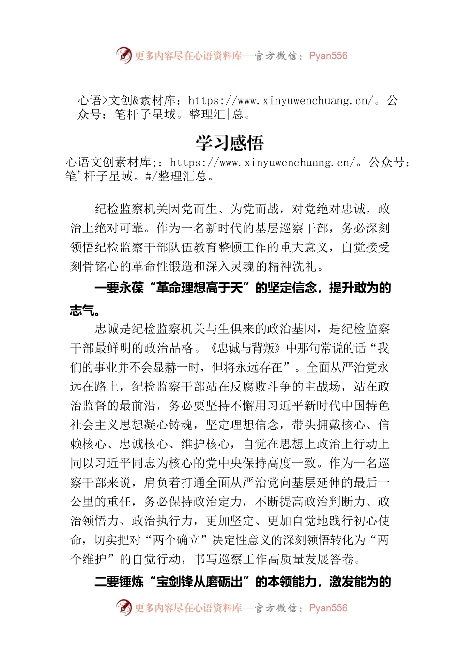 纪检监察干部队伍教育整顿检视整治环节学习感悟.docx_第1页