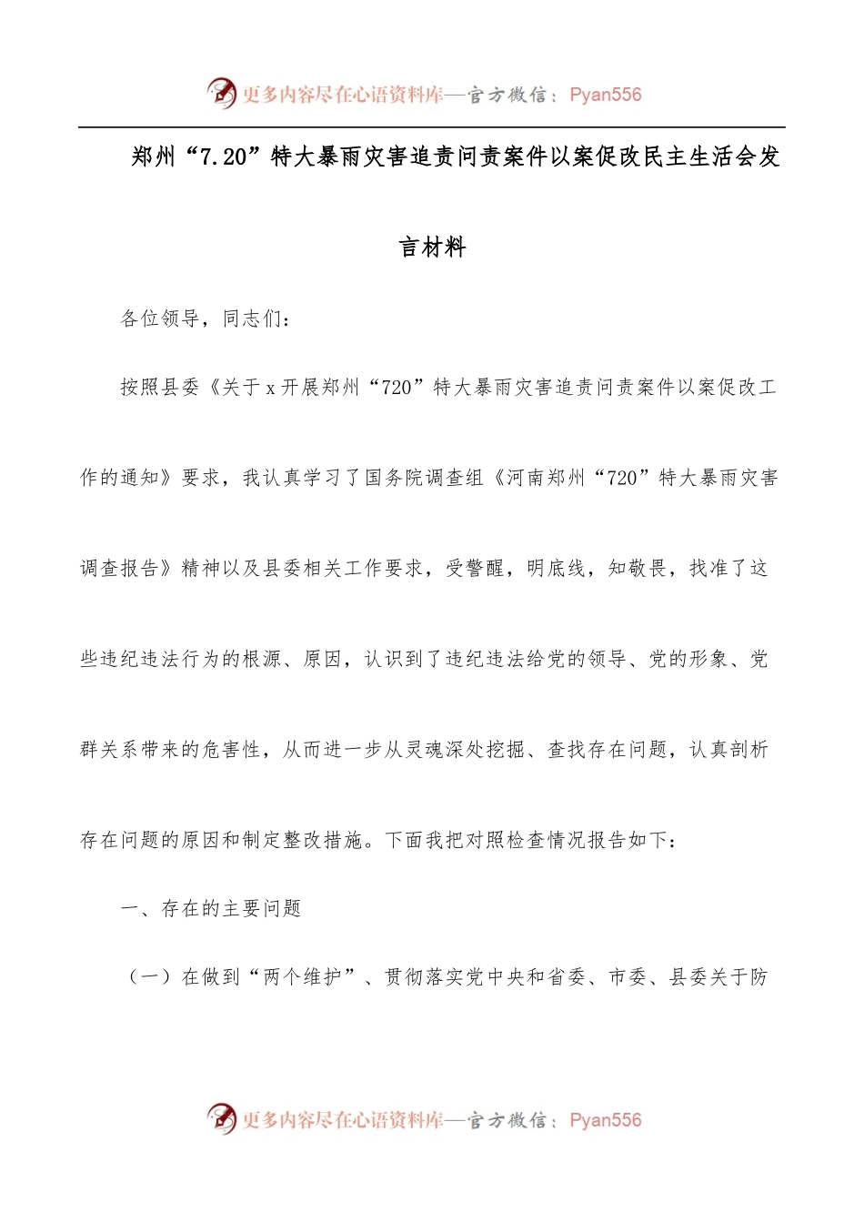 郑州“7.20”特大暴雨灾害追责问责案件以案促改民主生活会发言材料.docx_第1页