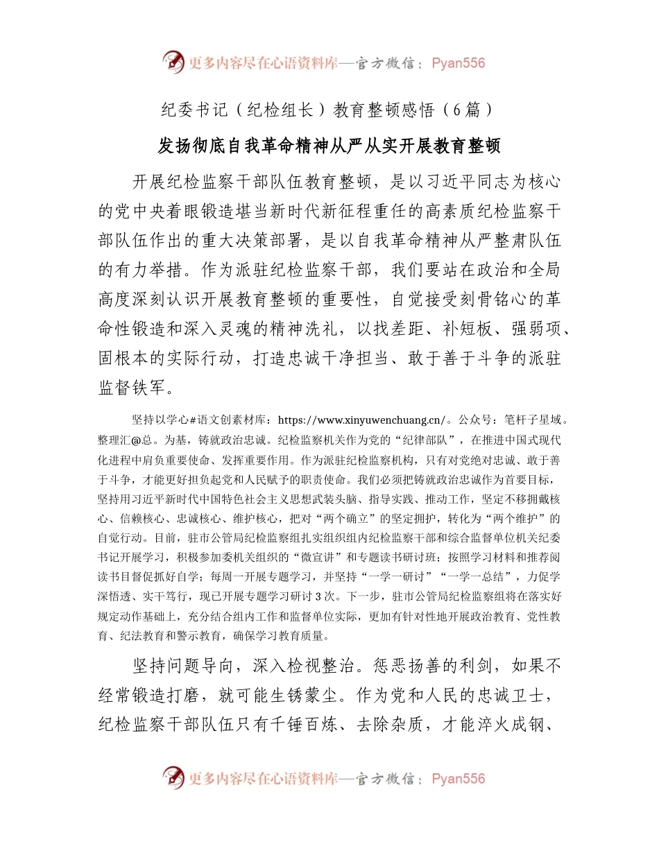 纪委书记（纪检组长）教育整顿研讨发言6篇（简短版）.docx_第1页