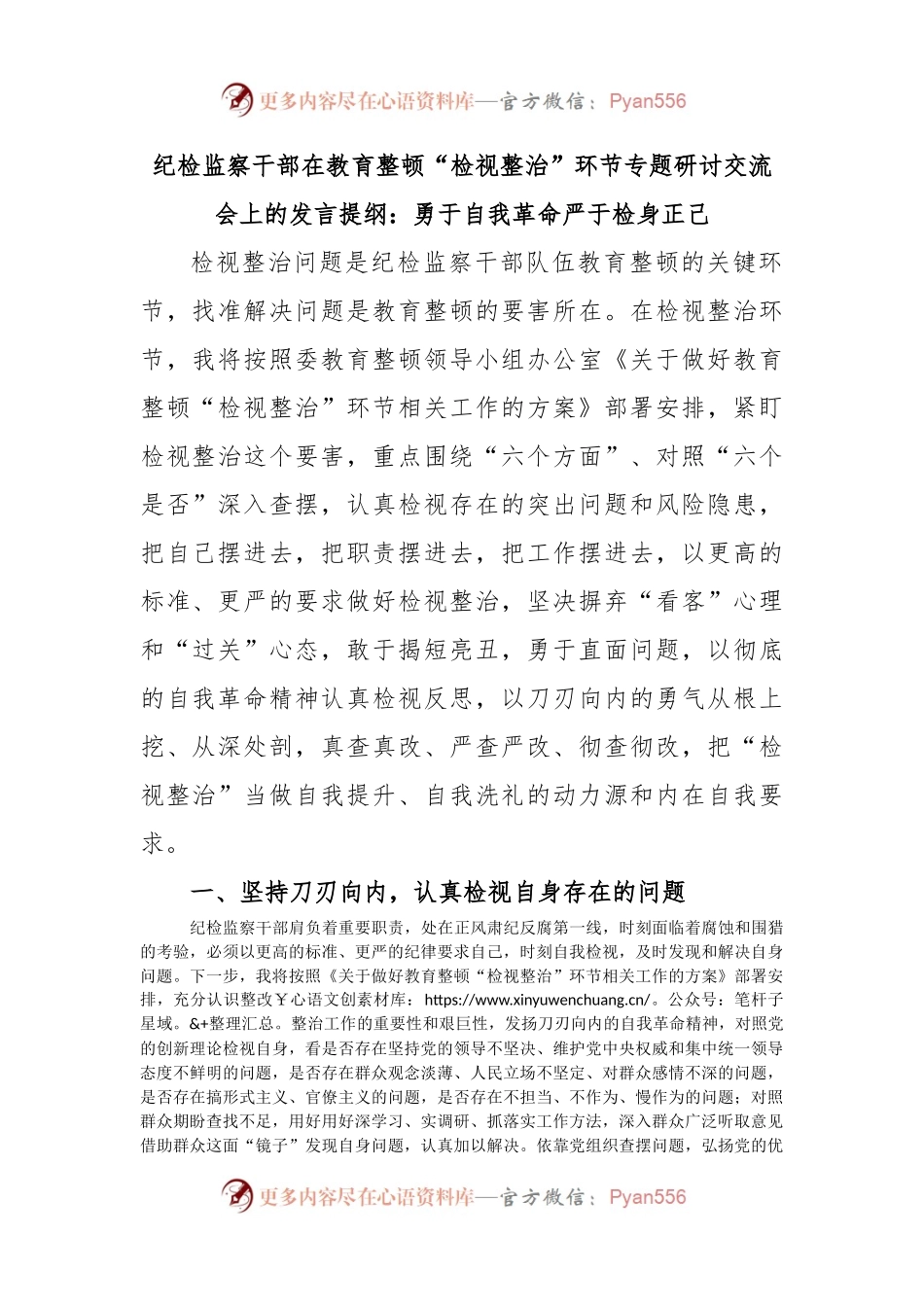 纪检监察干部在教育整顿“检视整治”环节专题研讨交流会上的发言提纲：勇于自我革命严于检身正己.docx_第1页