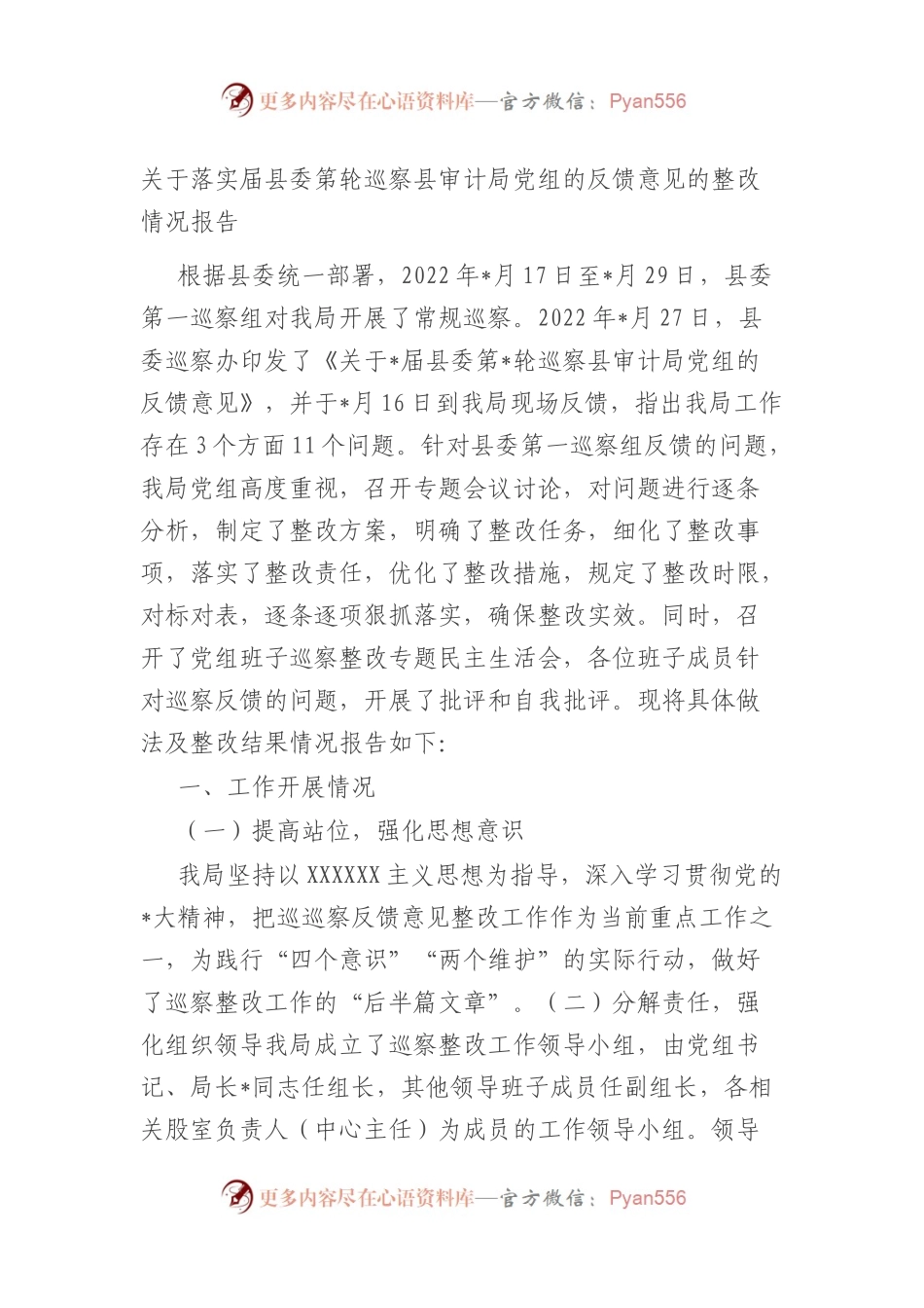 落实届县委第轮巡察县审计局党组的反馈意见的整改情况报告.docx_第1页