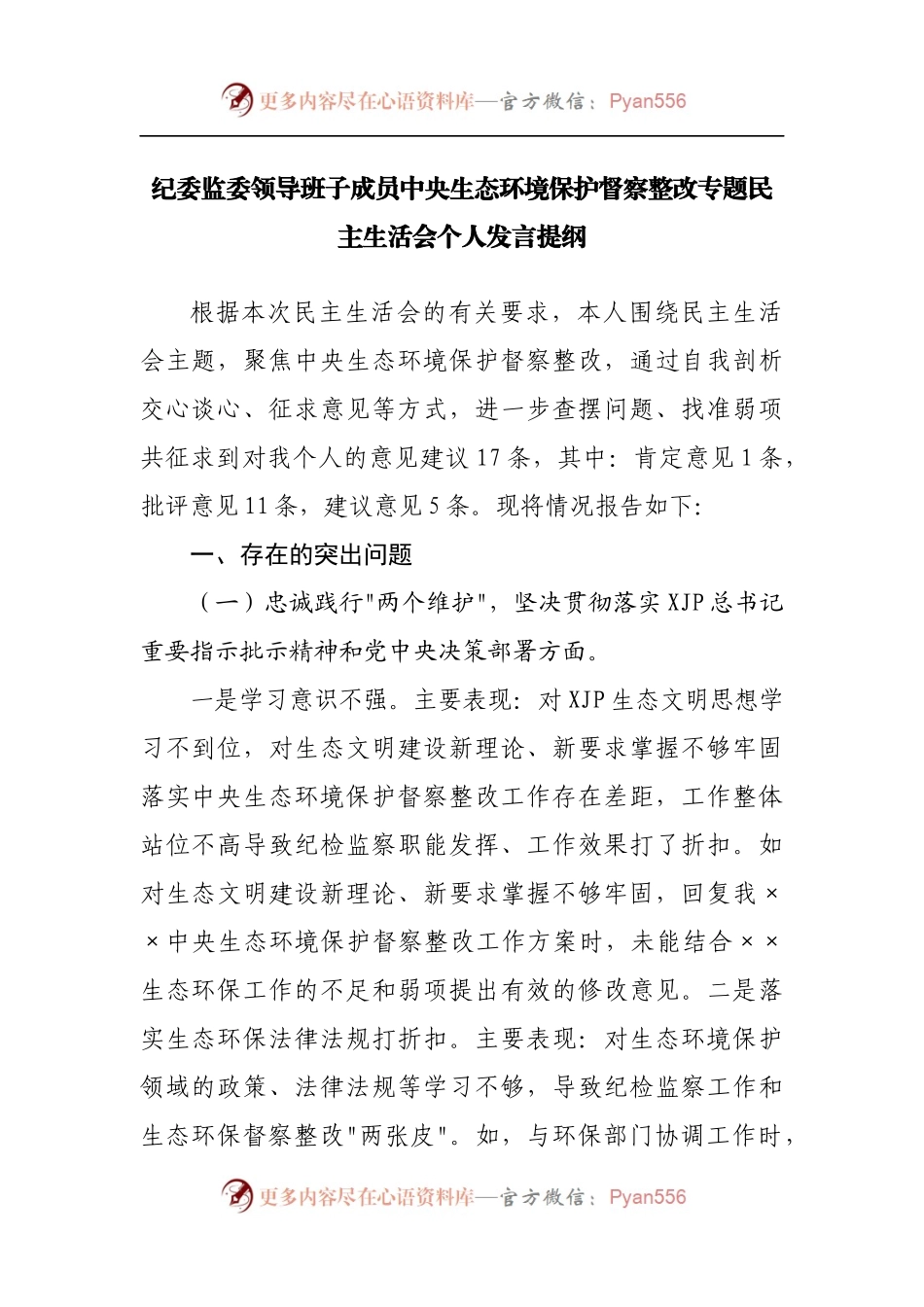 纪委监委领导班子成员中央生态环境保护督察整改专题民主生活会个人发言提纲.docx_第1页