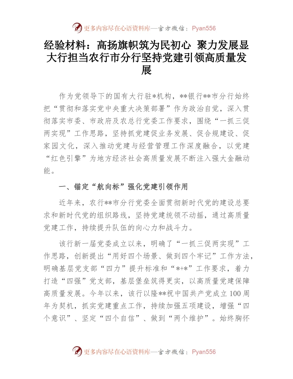 经验材料：高扬旗帜筑为民初心 聚力发展显大行担当农行市分行坚持党建引领高质量发展.docx_第1页