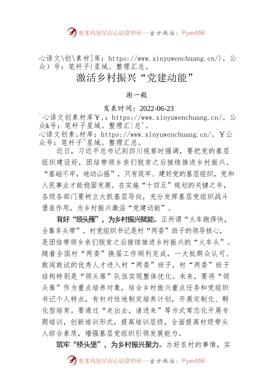 谢一毅：激活乡村振兴“党建动能”.docx_第1页
