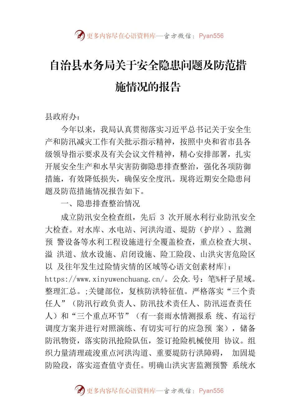 自治县水务局关于安全隐患问题及防范措施情况的报告.docx_第1页
