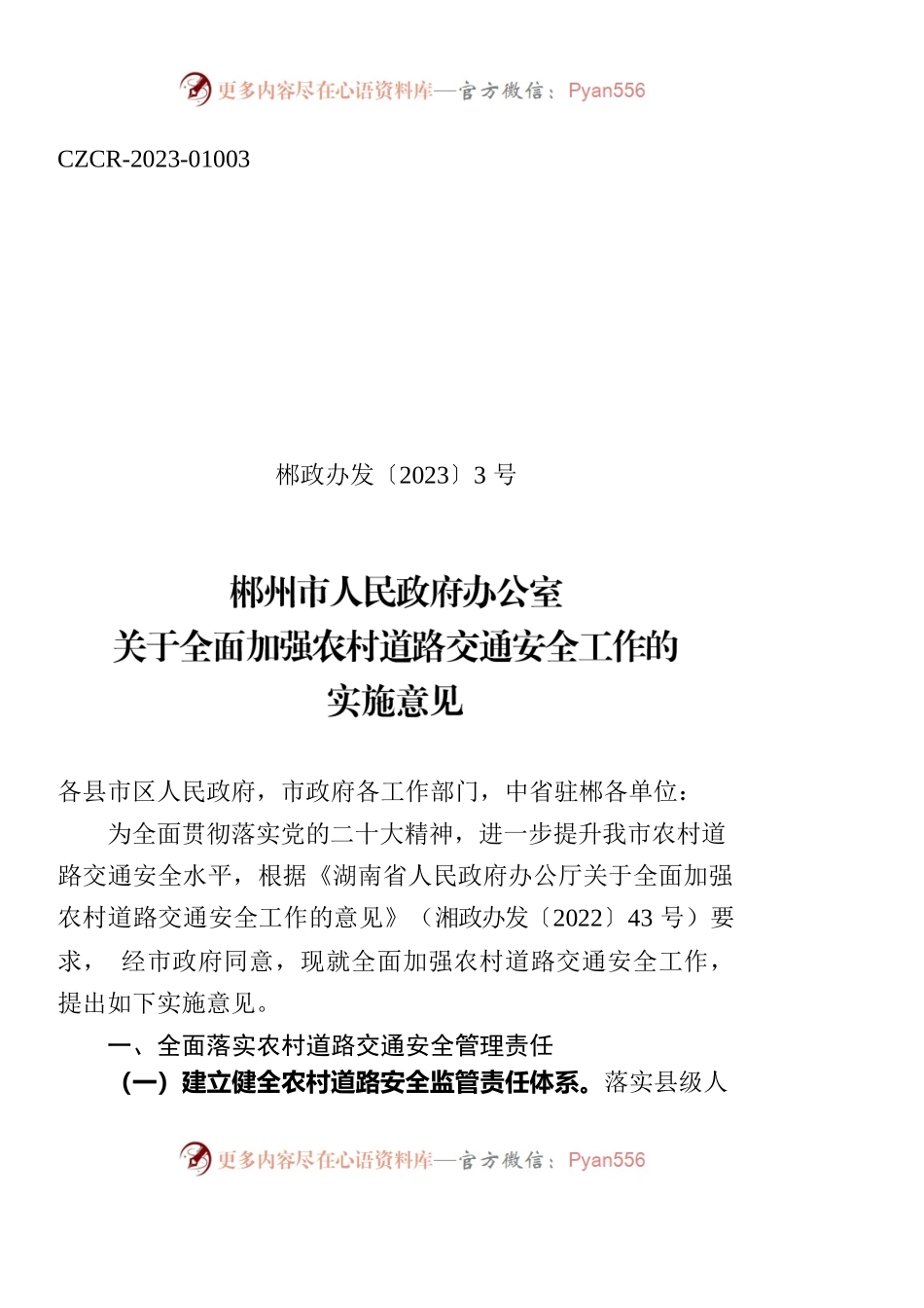 郴州市人民政府办公室关于全面加强农村道路交通安全工作的实施意见.docx_第1页