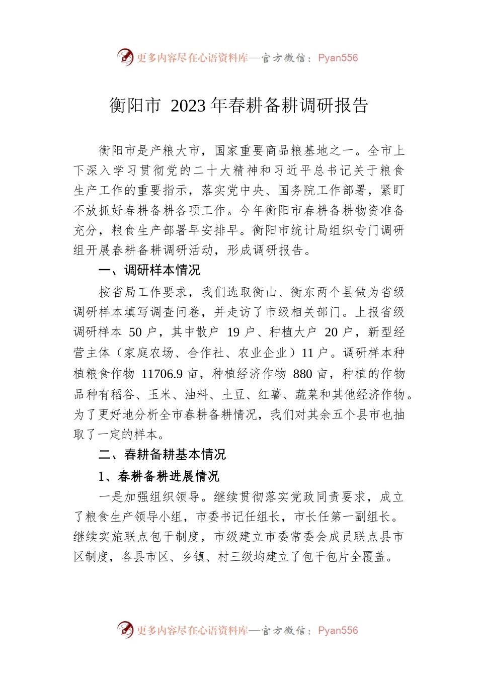 衡阳市2023年春耕备耕调研报告（20230222）.docx_第1页