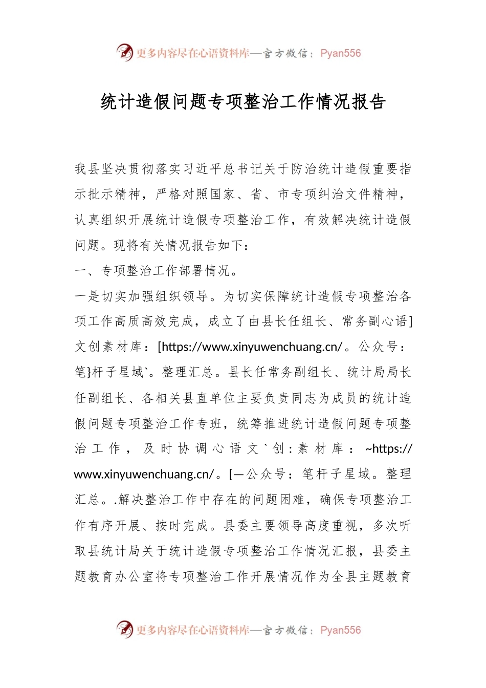 统计造假问题专项整治工作情况报告.docx_第1页
