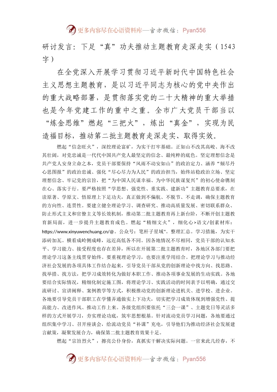 研讨发言：下足“真”功夫推动主题教育走深走实.docx_第1页