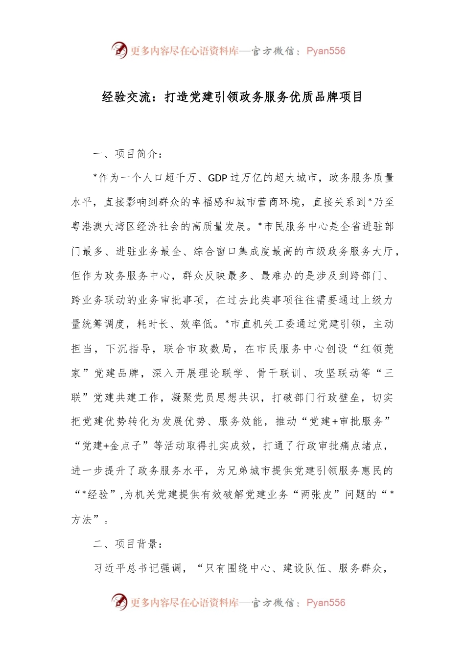 经验交流：打造党建引领政务服务优质品牌项目.docx_第1页