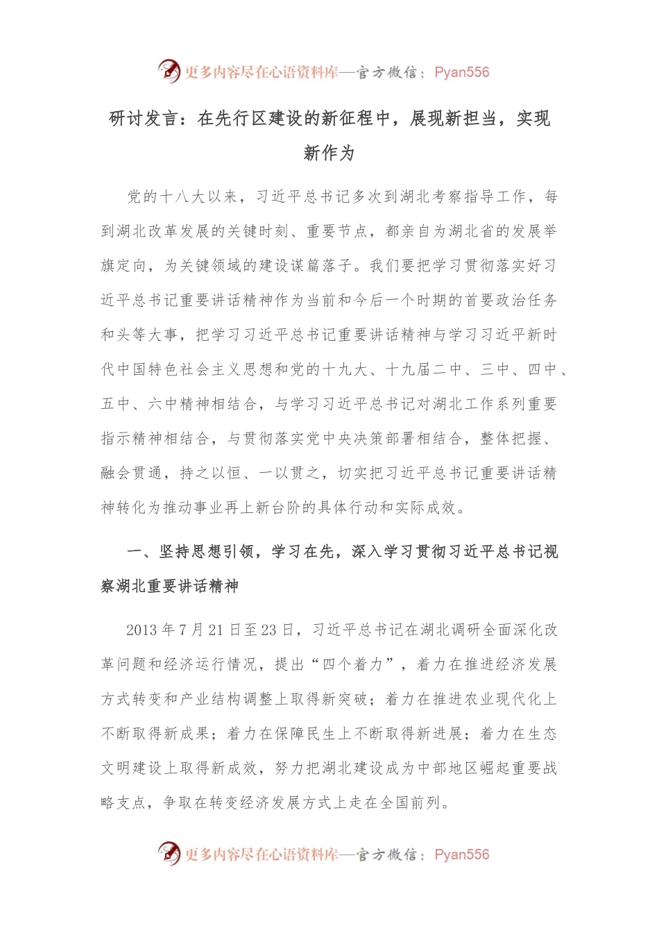 研讨发言：在先行区建设的新征程中，展现新担当，实现新作为.docx_第1页