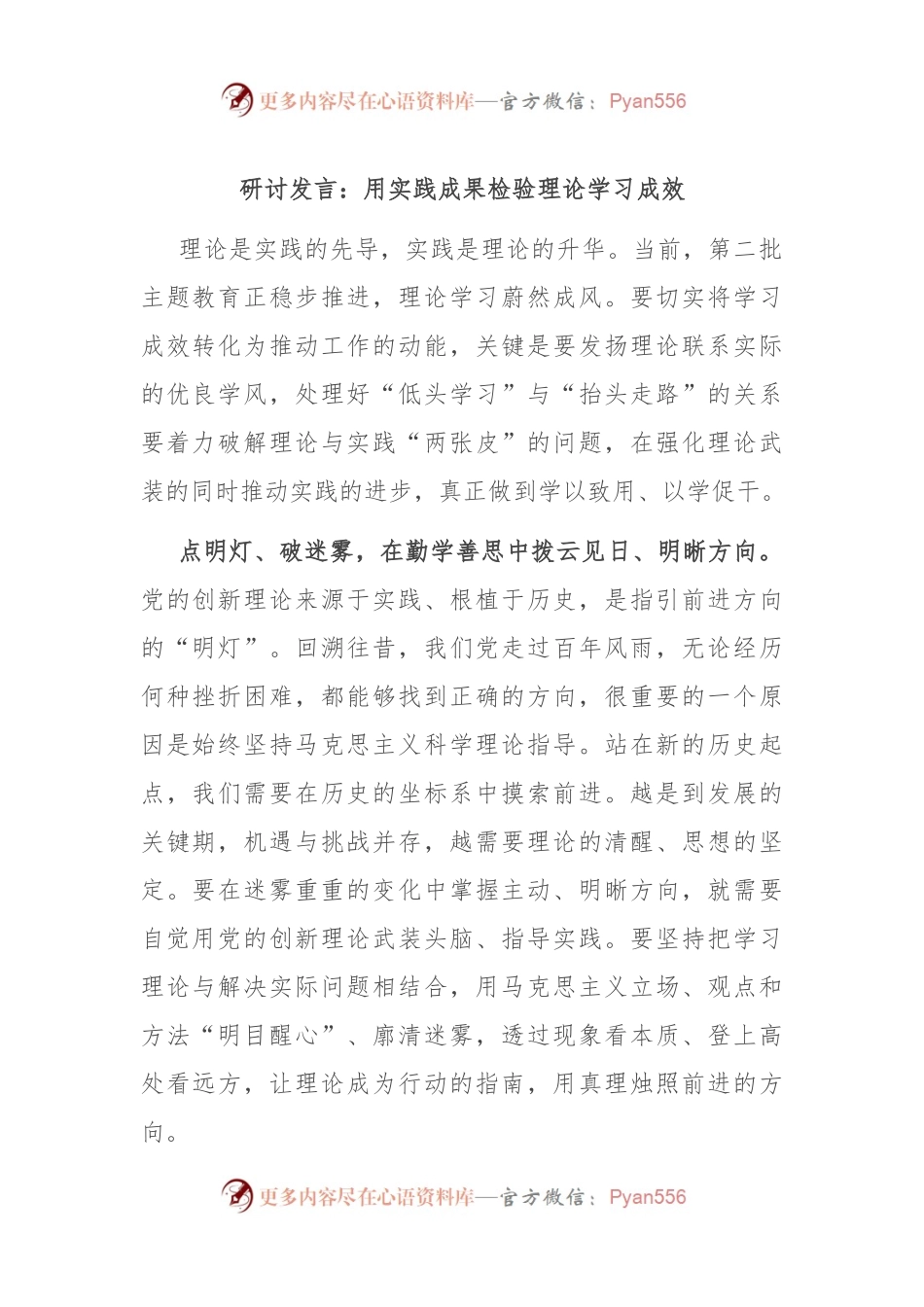 研讨发言：用实践成果检验理论学习成效.docx_第1页