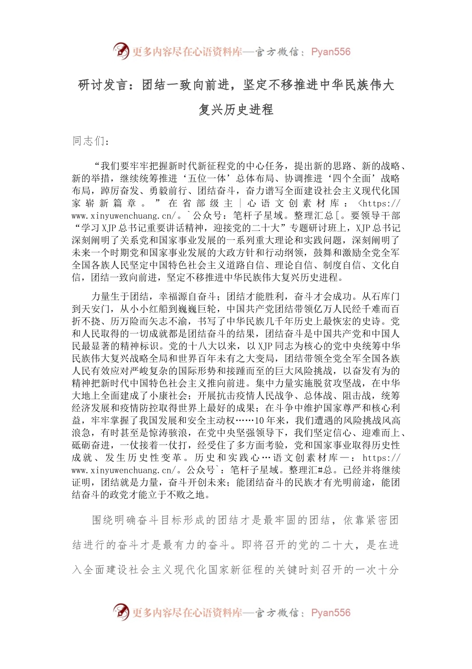 研讨发言：团结一致向前进，坚定不移推进中华民族伟大复兴历史进程.docx_第1页