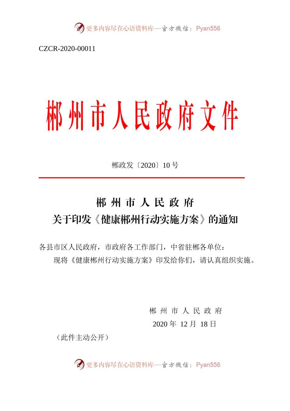 郴州市人民政府关于印发《健康郴州行动实施方案》的通知.docx_第1页
