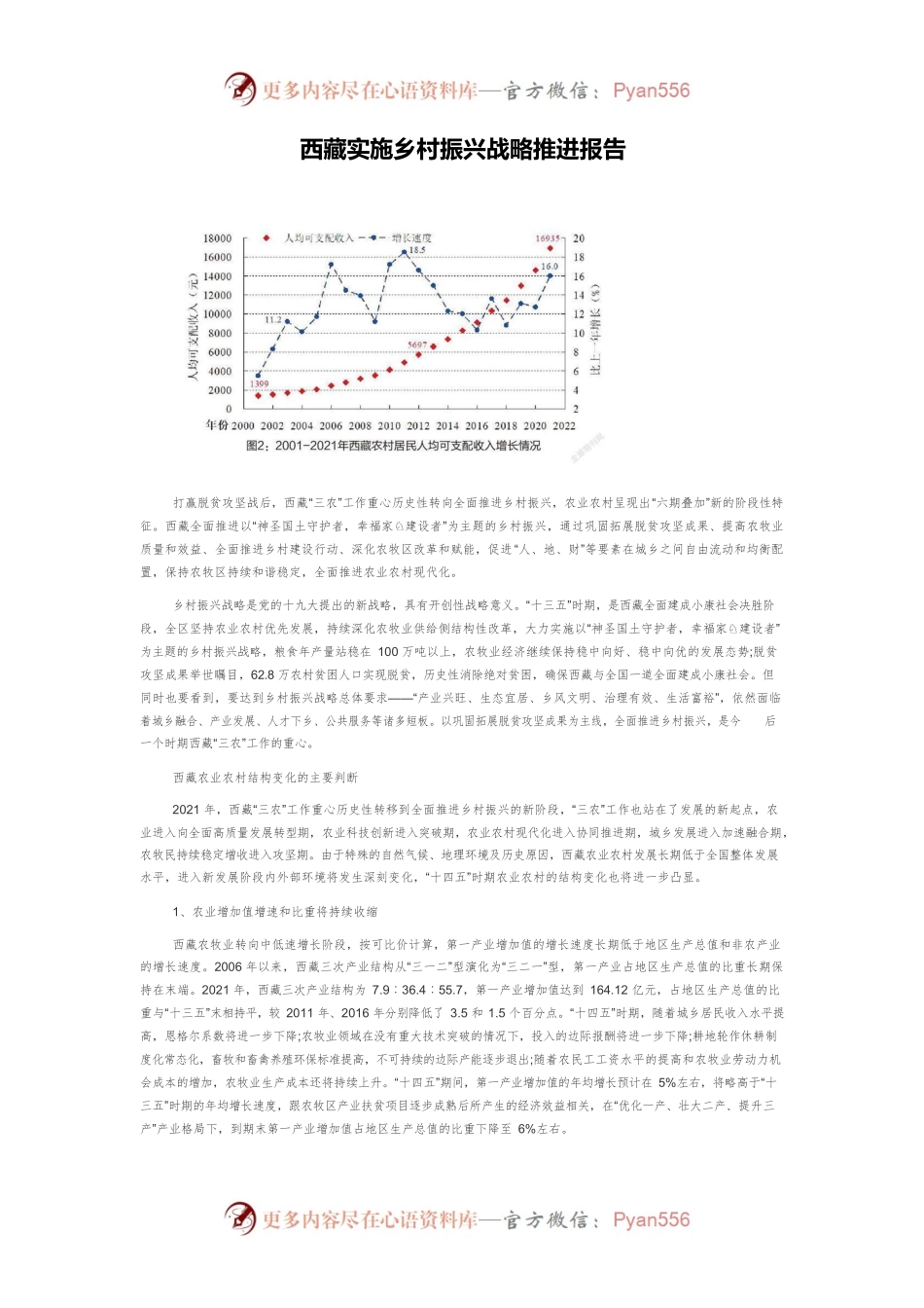 西藏实施乡村振兴战略推进报告.docx_第1页