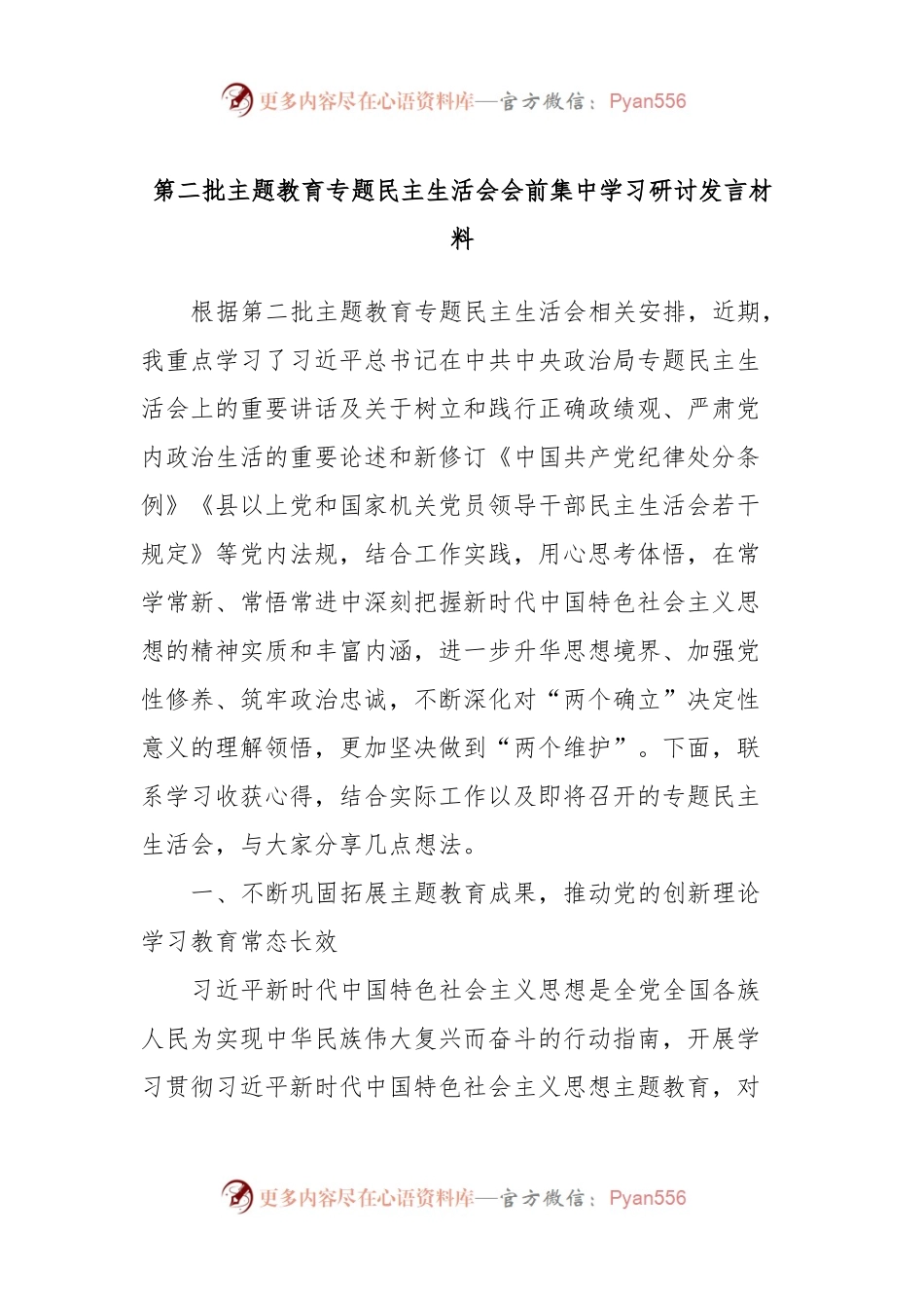 第二批主题教育专题民主生活会会前集中学习研讨发言稿材料.docx_第1页