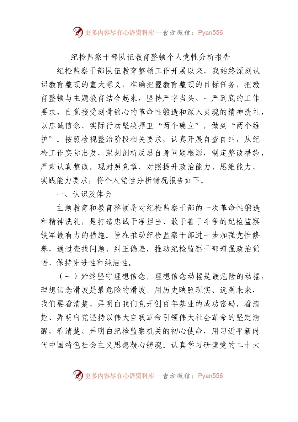 纪检监察干部队伍教育整顿个人党性分析报告4800字.docx_第1页