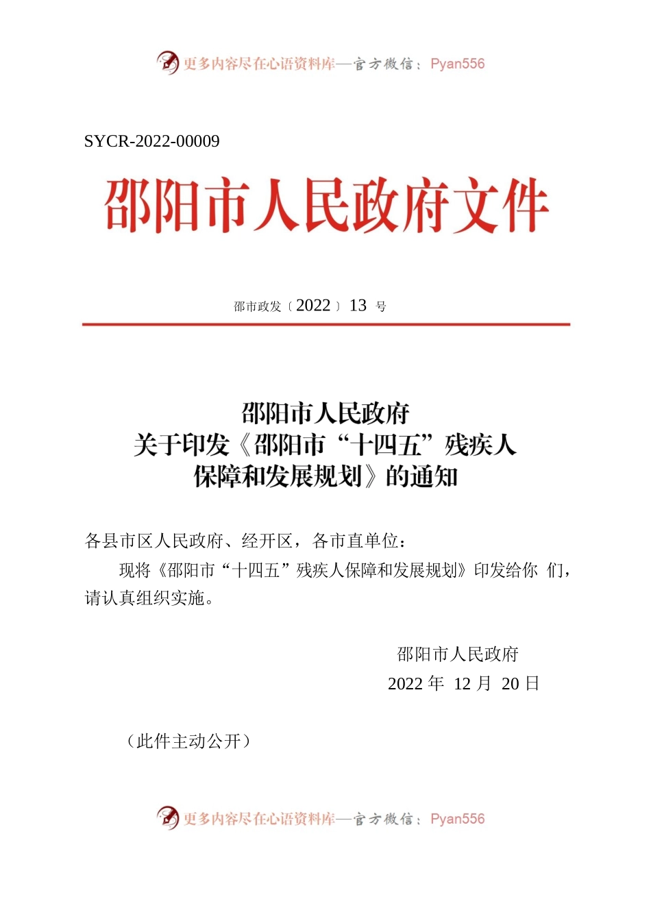 邵阳市人民政府关于印发《邵阳市“十四五”残疾人保障和发展规划》的通知.docx_第1页