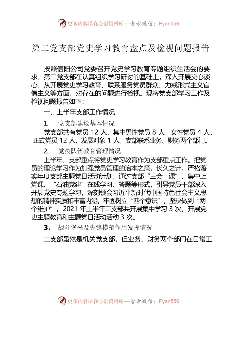 第二党支部党史学习教育盘点及检视问题报告.docx_第1页