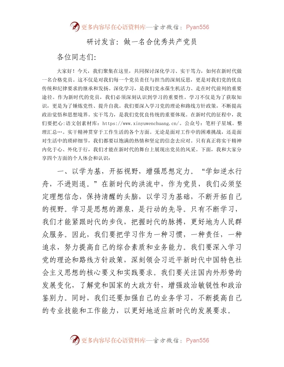 研讨发言：做一名合优秀共产党员.docx_第1页