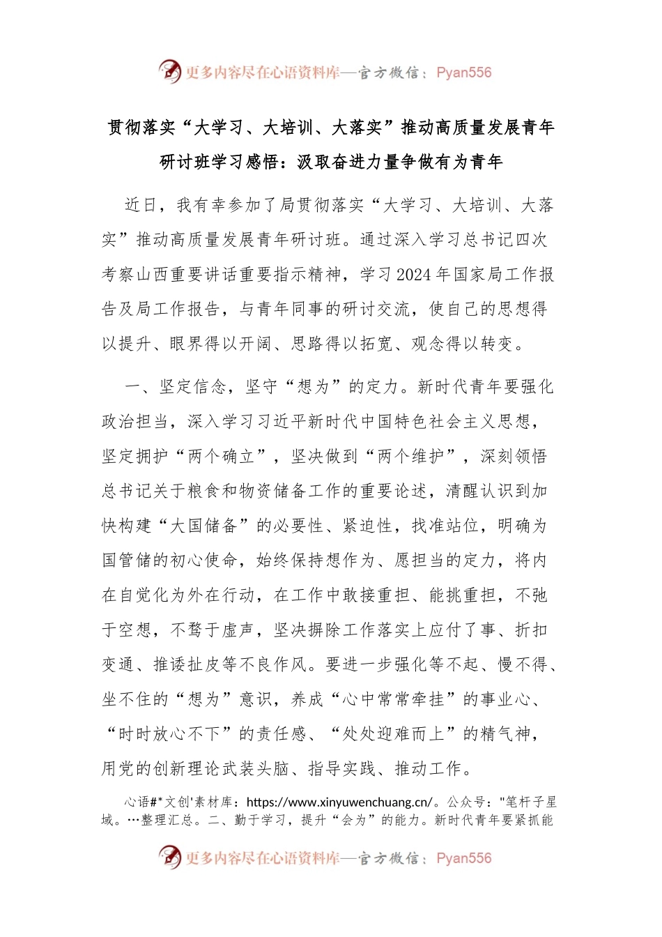贯彻落实“大学习、大培训、大落实”推动高质量发展青年研讨班学习感悟：汲取奋进力量争做有为青年.docx_第1页