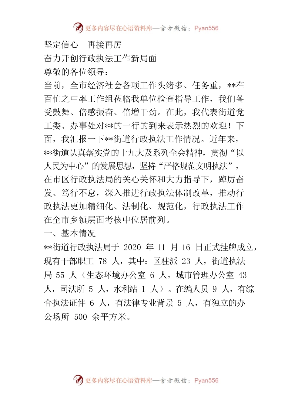 行政执法迎检汇报.docx_第1页