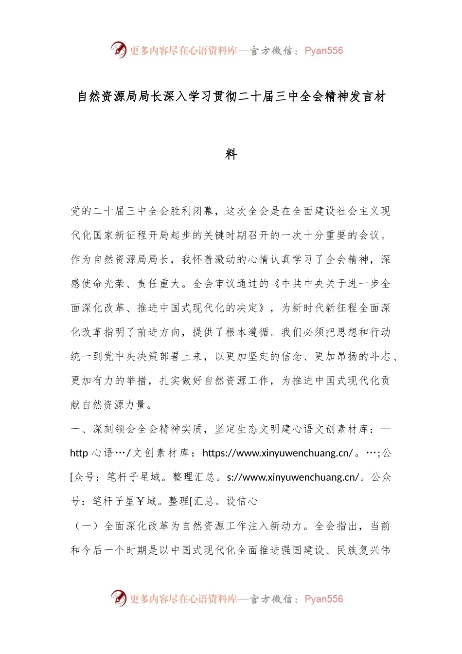 自然资源局局长深入学习贯彻二十届三中全会精神发言材料.docx_第1页