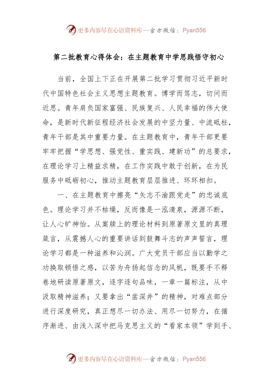 第二批教育心得体会：在主题教育中学思践悟守初心.docx_第1页