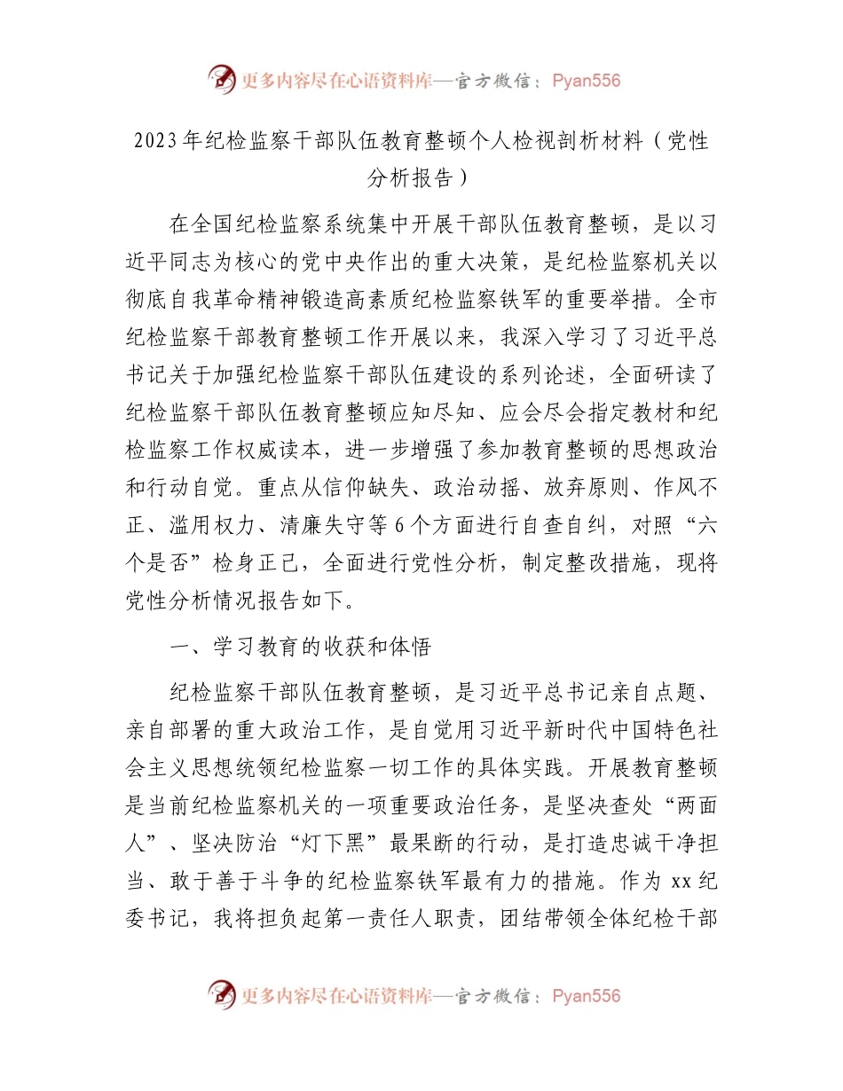 纪检监察干部队伍教育整顿个人检视剖析4600字（党性分析报告）.docx_第1页
