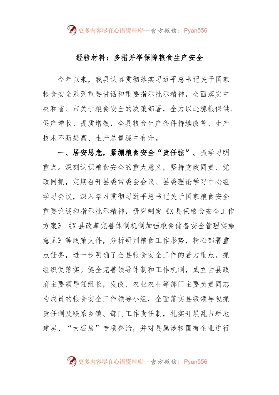 经验材料：多措并举保障粮食生产安全.docx_第1页