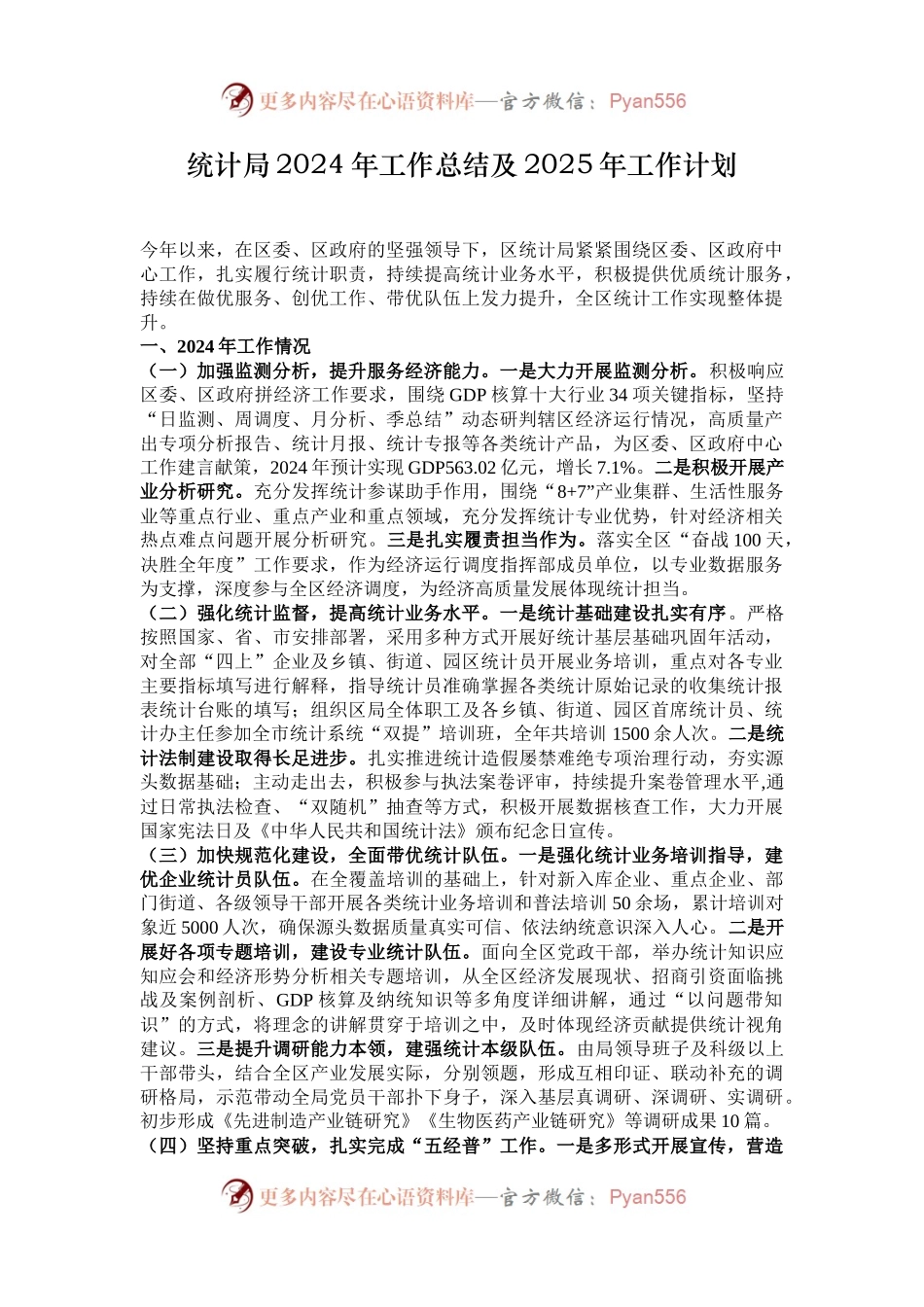 统计局2024年工作总结及2025年工作计划.docx_第1页