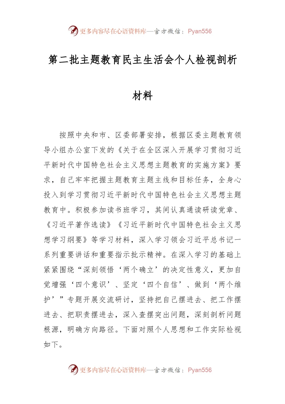 第二批主题教育民主生活会个人检视剖析材料.docx_第1页