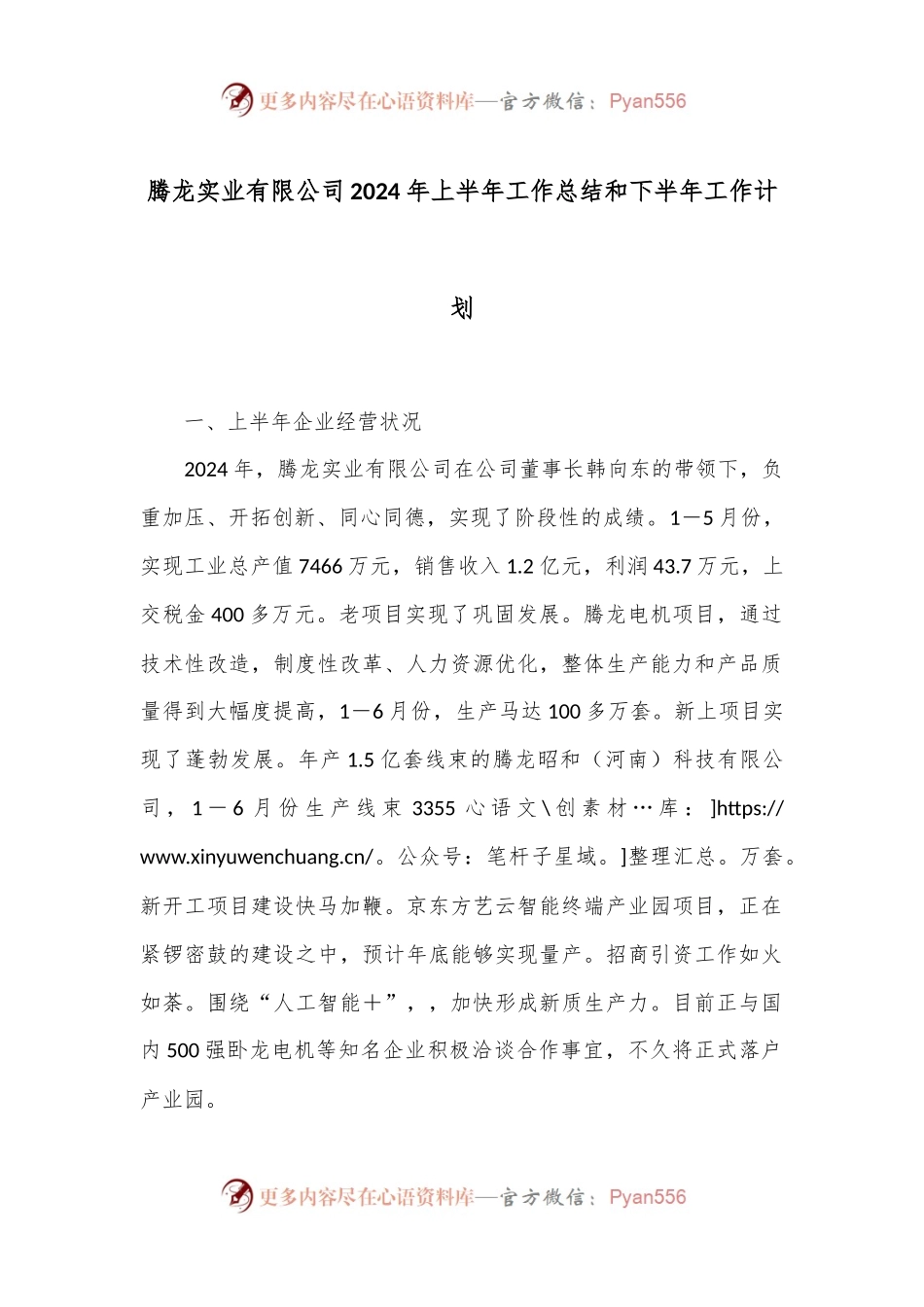腾龙实业有限公司2024年上半年工作总结和下半年工作计划.docx_第1页