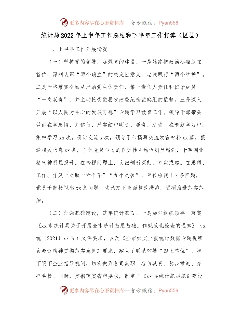 统计局2022年上半年工作总结和下半年工作打算[区县].docx_第1页