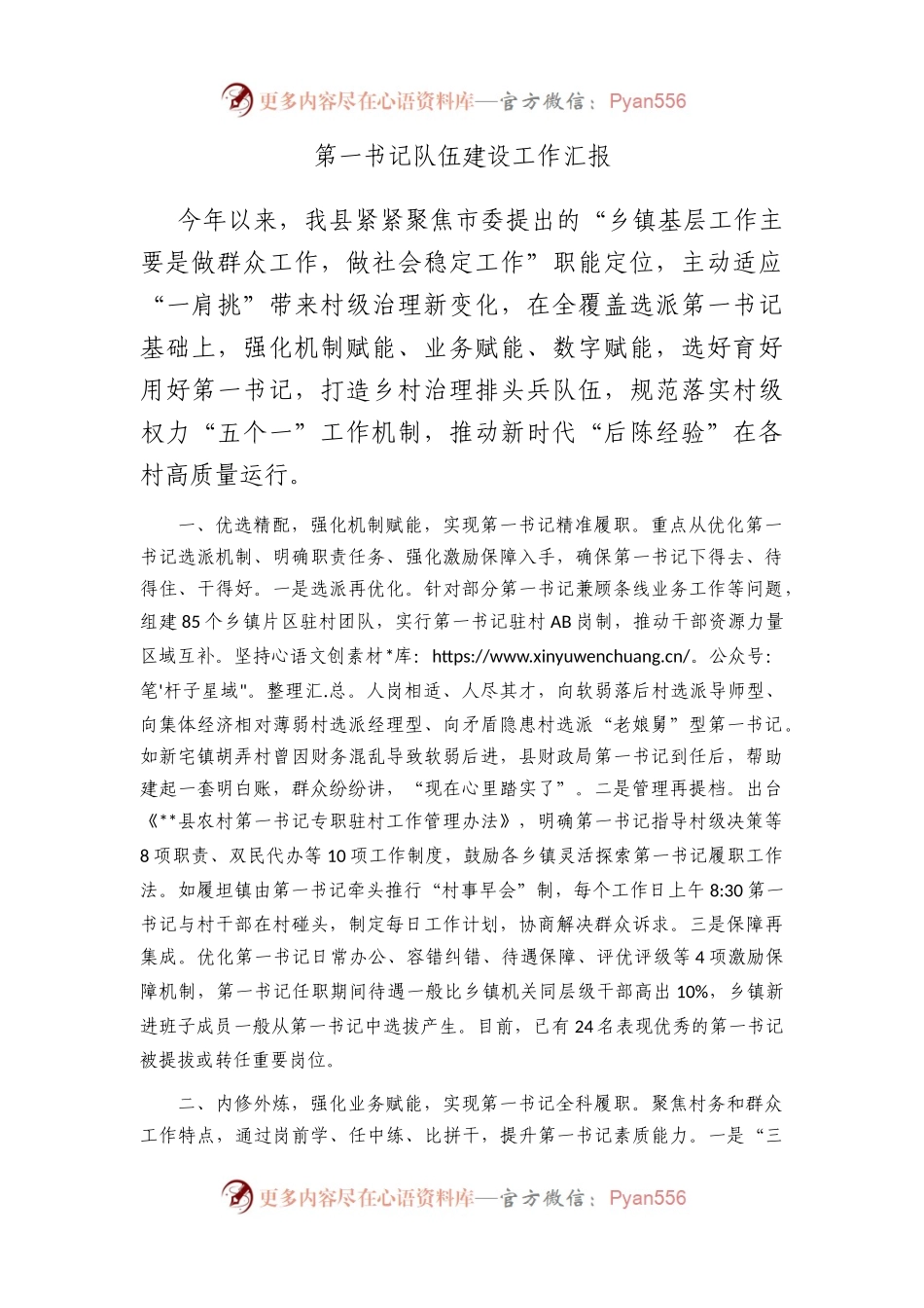 第一书记队伍建设工作汇报.docx_第1页