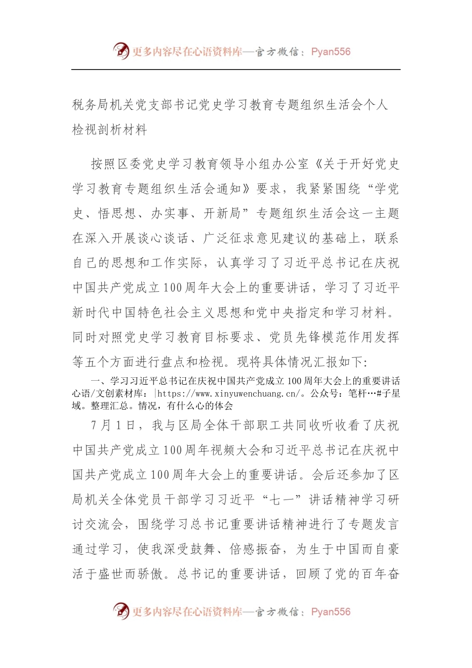 税务局机关党支部书记党史学习教育专题组织生活会个人检视剖析材料（5）.docx_第1页